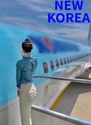 BABY GOEUN_FLIGHT ATTENDANT (NEW KOREA)